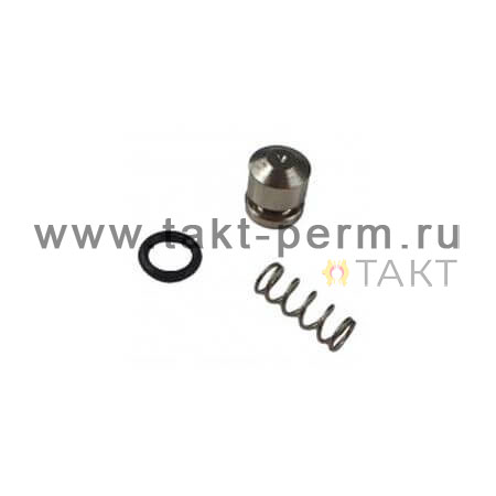 Поршень насоса карбюратора в комплекте 11391209700