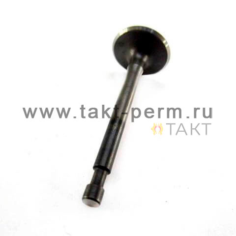 Выпускной клапан головки двигателя 41800252003